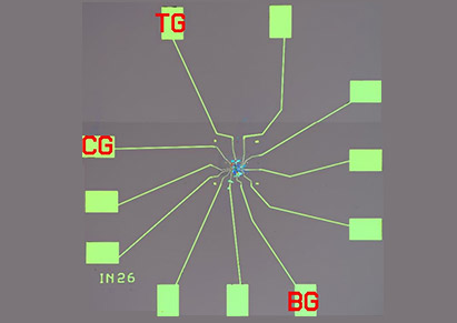 Project Grid